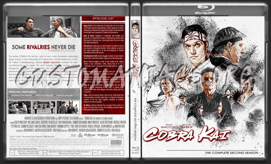 Cobra Kai - Second Season |TV Collection by dany26| blu-ray cover