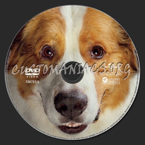 A Dog's Journey dvd label