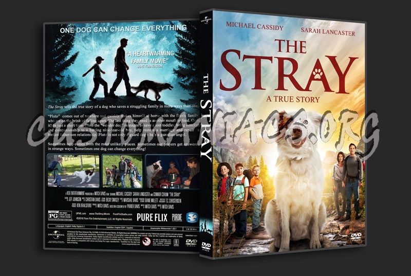 The Stray dvd cover