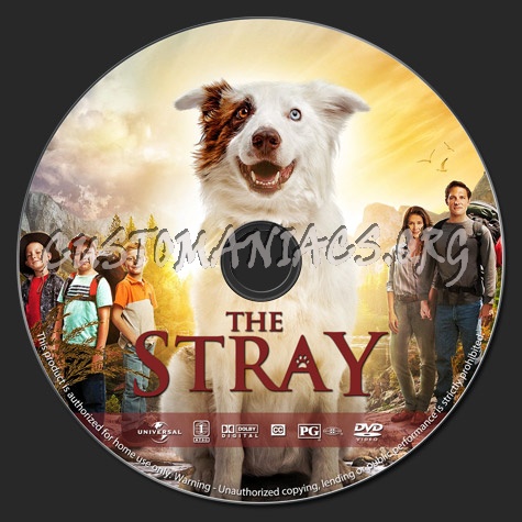 The Stray dvd label