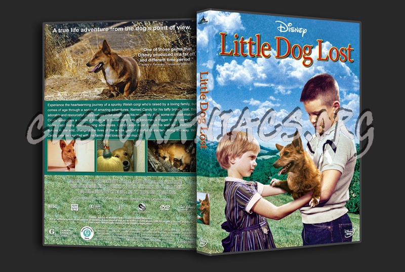 Little Dog Lost dvd cover