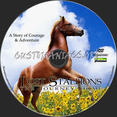 Lost Stallions The Journey Home dvd label