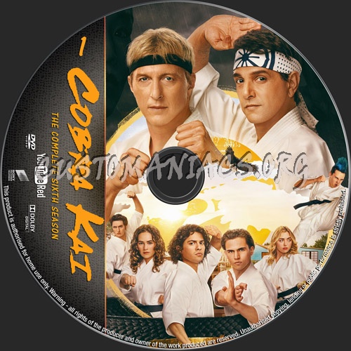 Cobra Kai Season 6 dvd label