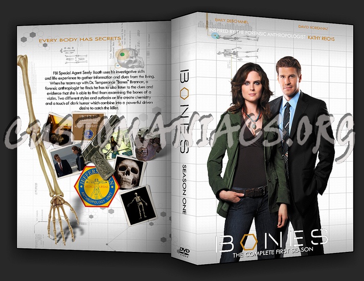 Bones Season 1 dvd cover