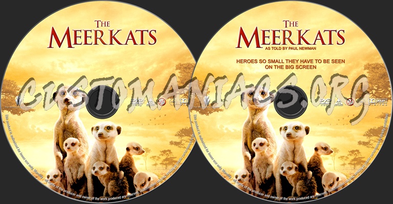 The Meerkats dvd label