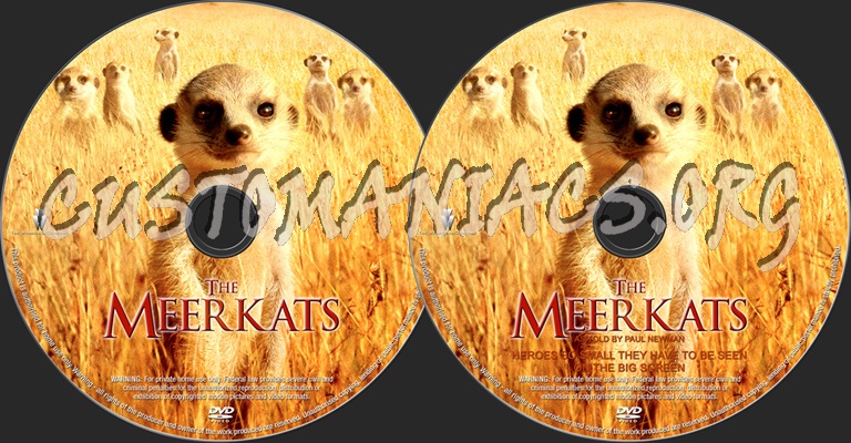 The Meerkats dvd label