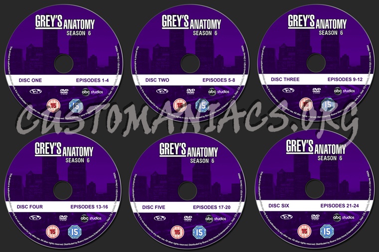 Grey's Anatomy Season 6 dvd label