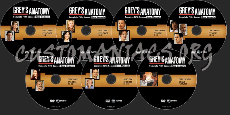 Grey's Anatomy Season 5 dvd label