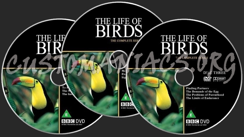 The Life Of Birds dvd label