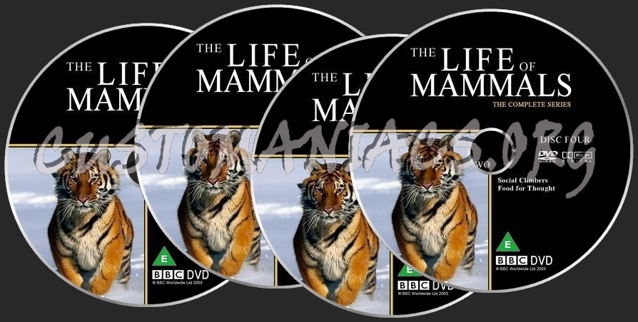 The Life Of Mammals dvd label