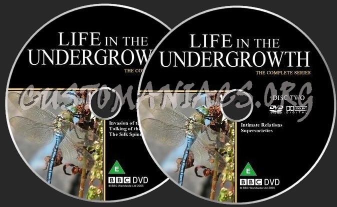 Life In The Undergrowth dvd label