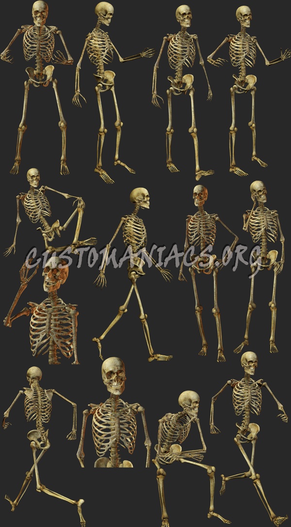 Skeletons 