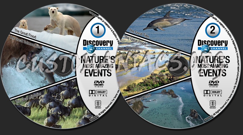 Discovery Nature's Most Amazing Events dvd label