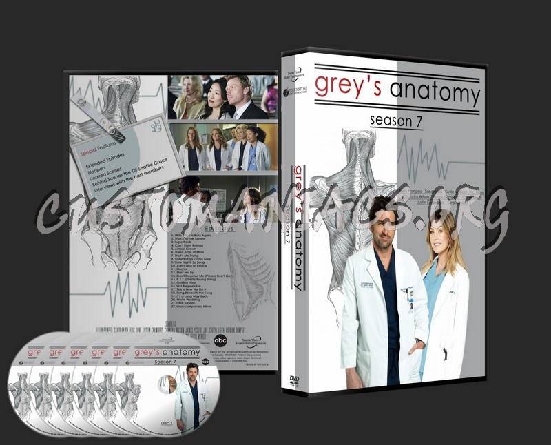 Grey's Anatomy Season 7 dvd cover