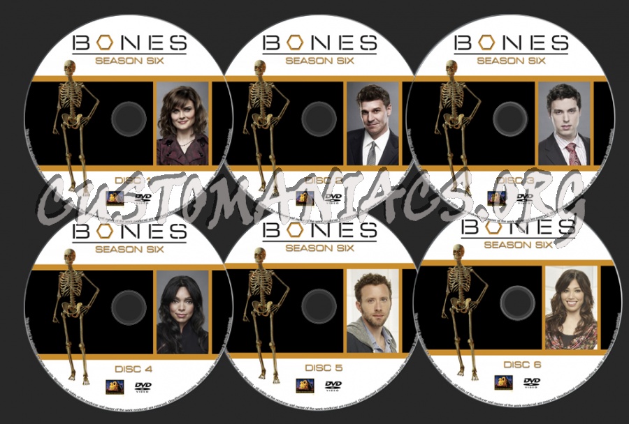 BONES Season 6 dvd label