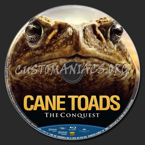 Cane Toads: The Conquest blu-ray label