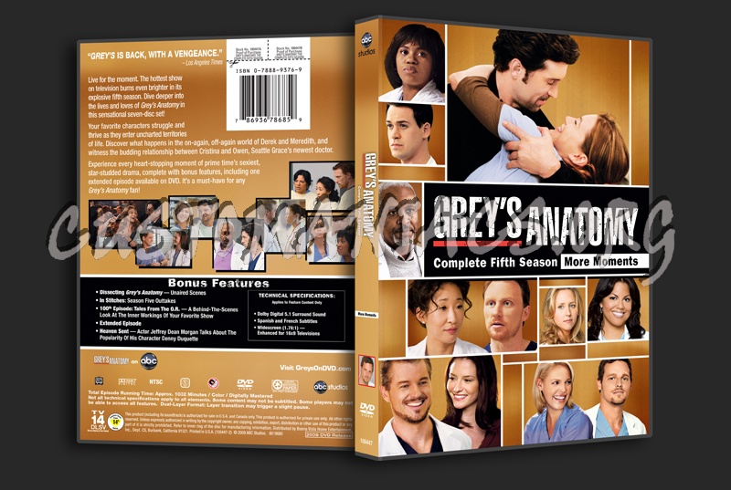 Grey's Anatomy Season 5 dvd cover