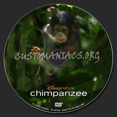 Chimpanzee (2012) dvd label