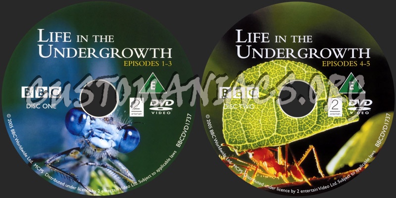 Life in the Undergrowth dvd label