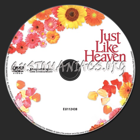 Just Like Heaven dvd label