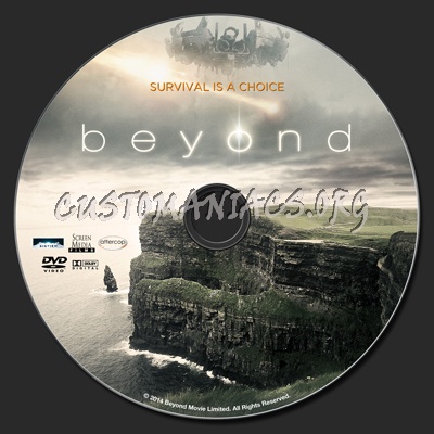 Beyond (2014) dvd label