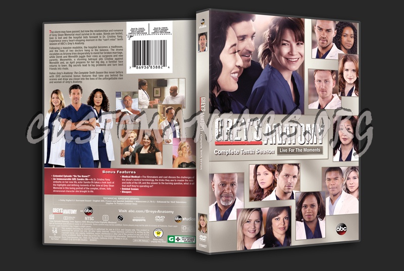 Grey's Anatomy Season 10 dvd cover