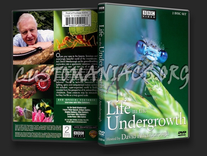 Life in the Undergrowth dvd cover