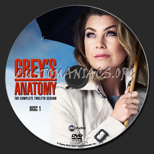 Download grey s anatomy season 12