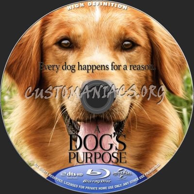 A Dogs Purpose blu-ray label