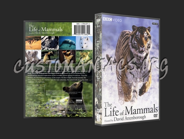 Life of Mammals dvd cover - DVD Covers & Labels by Customaniacs, id